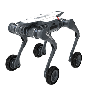 DEEP Robotics LYNX